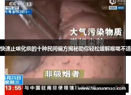 快速止咳化痰的十种民间偏方揭秘助你轻松缓解喉咙不适